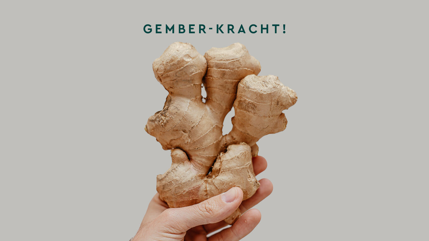 Hand houdt een gemberknol vast. "Ginger power!" als tekst erboven. 